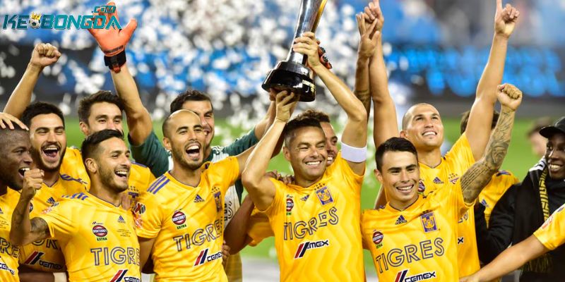 Tigers UANL - Câu lạc bộ nổi bật tại giải VĐQG Mexico