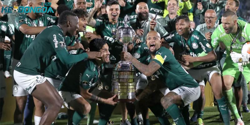 Các CLB sở hữu thành tích nổi bật tại Brazil