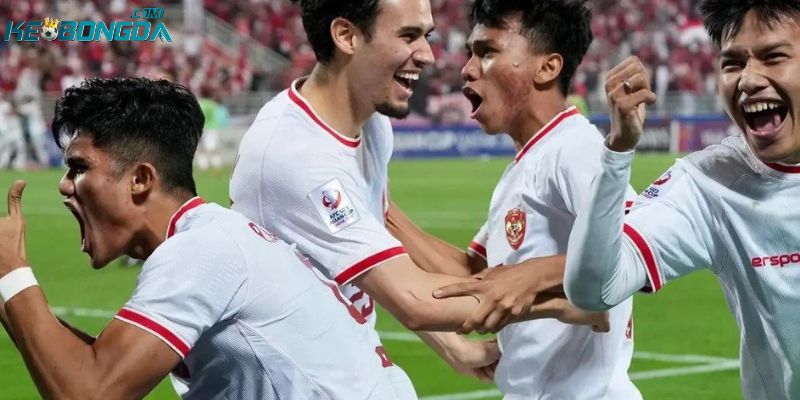 Cơ cấu thi đấu và các quy định của giải VĐQG Indonesia