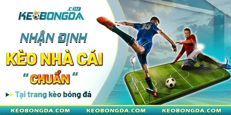 Nhận định kèo nhà cái chuẩn tại trang kèo bóng đá
