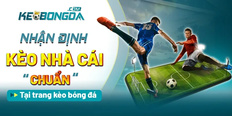 Nhận định kèo nhà cái chuẩn tại trang kèo bóng đá