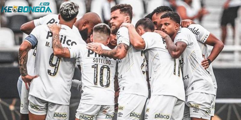 Thể thức thi đấu và quy định tại VĐQG Brazil
