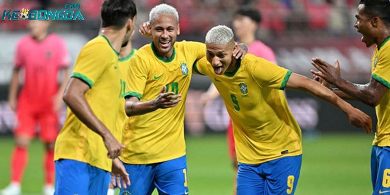 Tổng hợp giải đấu hàng đầu tại bóng đá Brazil